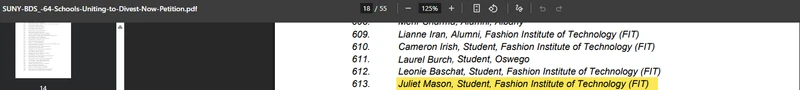 Juliet Mason__jan_15_2024_amchainitiative.org.png _#1